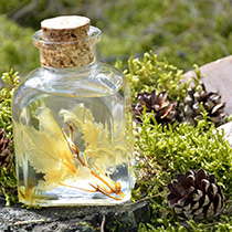 rencontre louvain la neuve